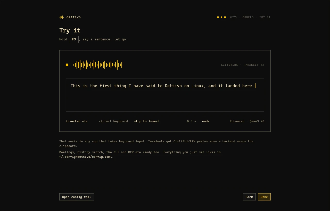 The Try it screen: a dictated sentence in the text box, inserted by the virtual keyboard in 0.8 seconds
